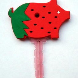 东莞迪标塑胶厂 专业钥匙套供应与配套钥匙服务解决方案